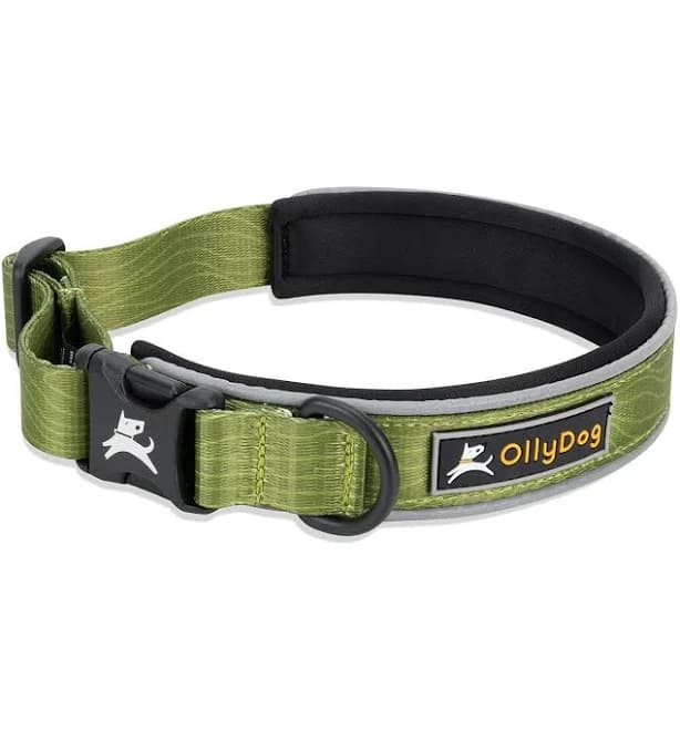 OllyDog Flagstaff Reflective Comfort Collar