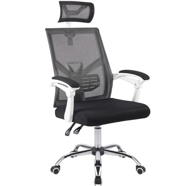 CO-Z Ergonomic Mesh Office Chair