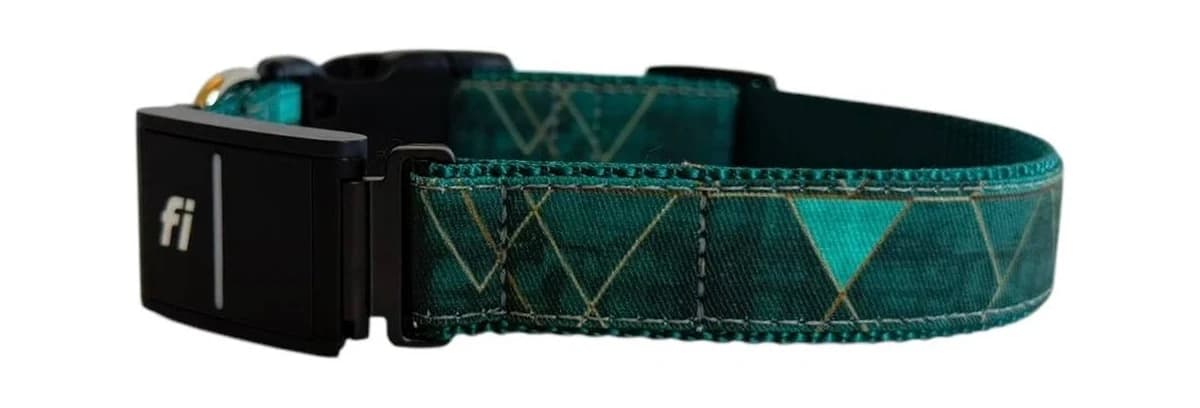 Fi Series 3 and Fi Series 3+ Compatible Dog Collar