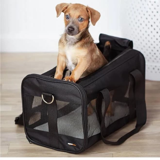 AmazonBasics Soft-Sided Pet Travel Carrier with Wheels