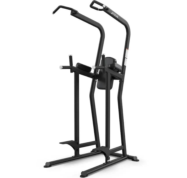 True Fitness Line FS-23 Knee Raise / Dip / Chin Station
