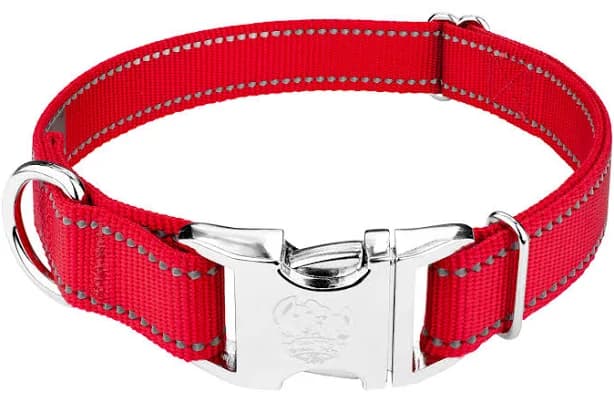 Country Brook Petz Premium Red Reflective Nylon Dog Collar