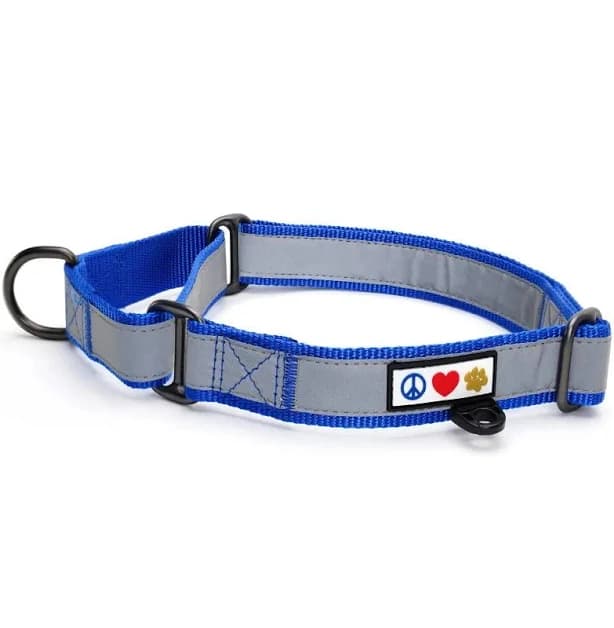 Pawtitas Reflective Martingale Dog Collar