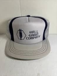 Vintage Hall Grain Company Trucker Snapback Hat Pin Stripe Rare Youngan Gray