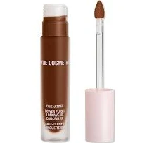 Power Plush Longwear Concealer