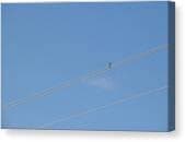 Bird Perched on Power Lines Tapestry by Tetiana Lobas - Fine Art America