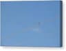 Video frame trigger