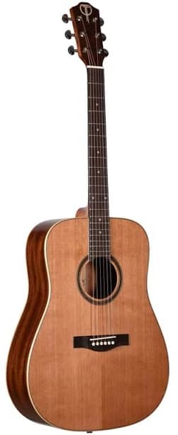 Teton Dreadnought Acoustic Guitar