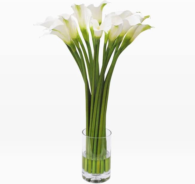 West Elm Faux Calla Lily Cylinder Vase
