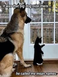 German Shepherd & Cat Refrigerator / Tool Box Magnet Gift Card Insert | eBay