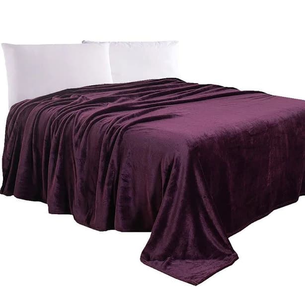 Elegant Comfort Velvet Plush Fleece Blanket