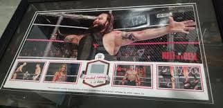 WWE 2014 HELL IN A CELL GENUINE AUTHENTIC 24X16 FRAMED RING CANVAS LIMITED 6/500 | eBay