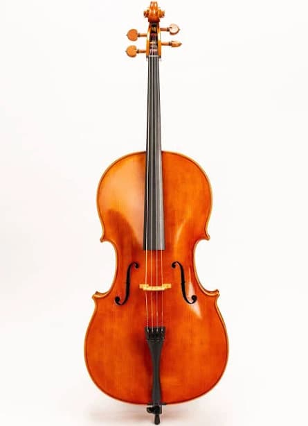 D Z Strad Cello Model 250 Cello Outfit