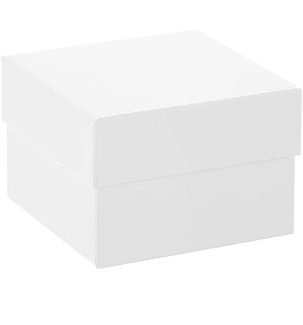 The Container Store Bigso Glossy Premium Box