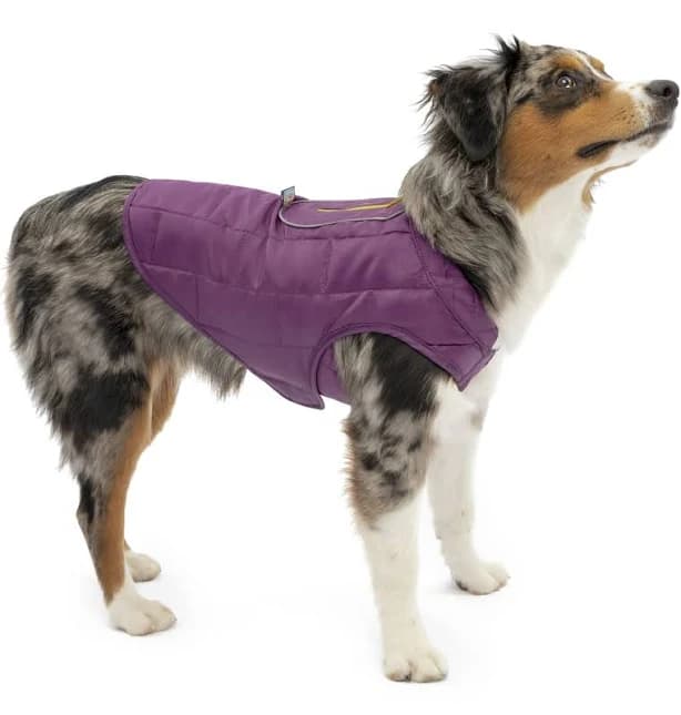 Kurgo Loft Reversible Dog Jacket