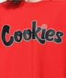 Video frame trigger