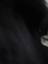 Video frame trigger
