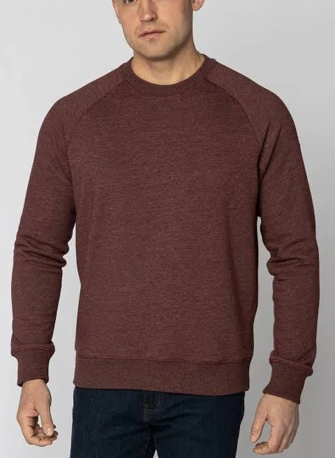 Basic Raglan Sweatshirt