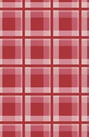 Red Plaid Diary (Anne Frank design): 5x8 Journal notebook 200 lined pages: Metrejean, Cameron: 9798414007364: Amazon.com: Books