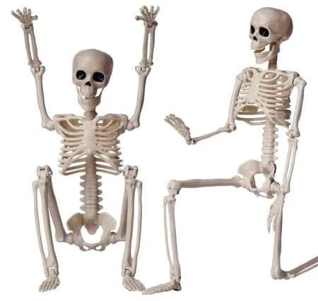 Hmnplay Poseable Skeleton Decor Mini Skeletons 2 Pack
