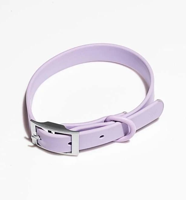 Wild One Adjustable Dog Collar