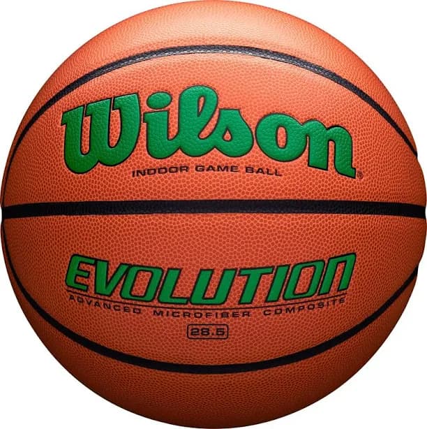 Wilson Evolution Game Basketball