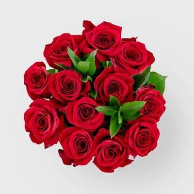 Good Little Garden Dozen Fresh Cut Vibrant Red Roses Flower Bunch