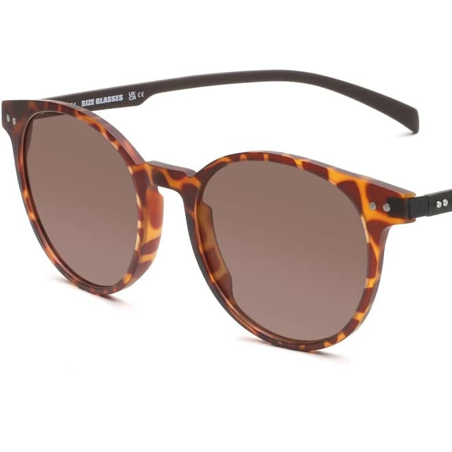 Oversized Retro-Style Sunglasses