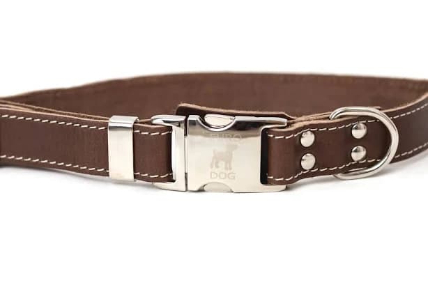 Pro Line Quick-Release Khaki Leather Dog Collar