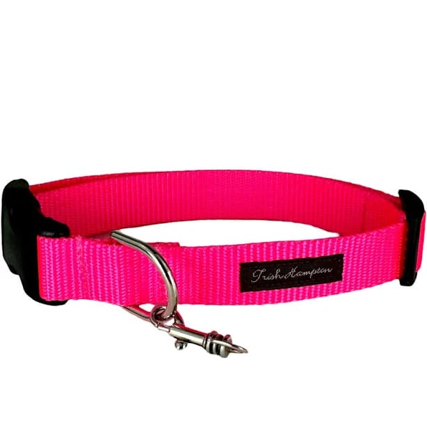 Trish Hampton Fluorescent Pink Safety Nylon Webbing Personalized Dog Collar