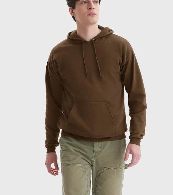 Hanes Men's EcoSmart Hoodie Fleece Sweatshirt