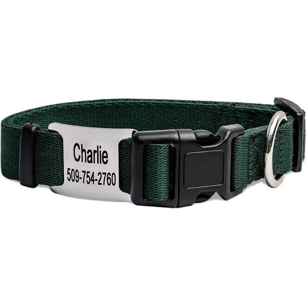GoTags Adjustable Nameplate Personalized Dog Collar