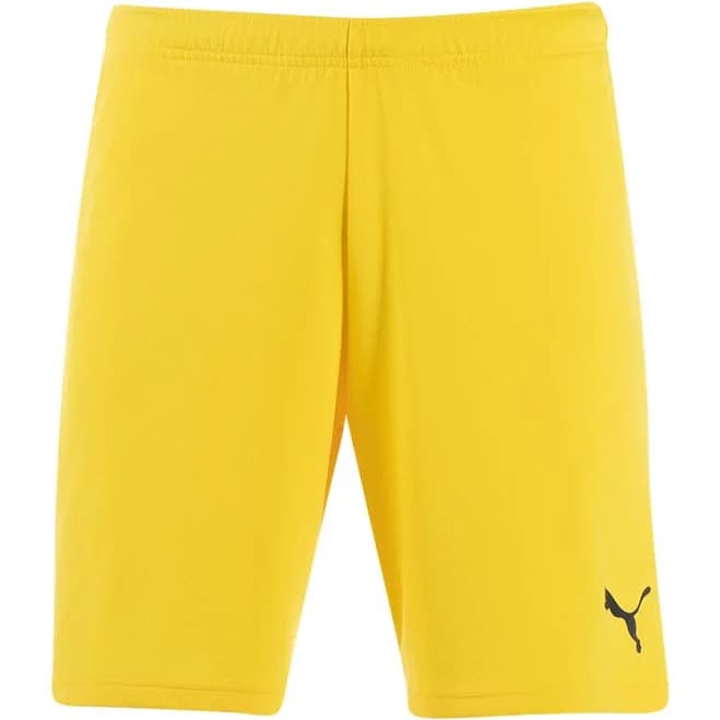 Puma Teamrise Short / Shorts Kids