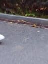 Video frame trigger