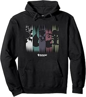 Themed Colors & Symbol Panels Pullover Hoodie