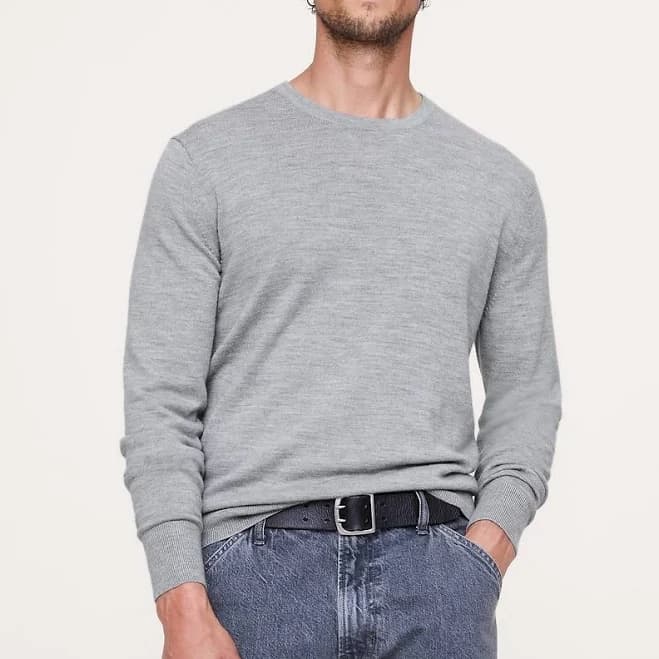 Banana Republic Men's Merino Crew Sweater-Neck Sweater