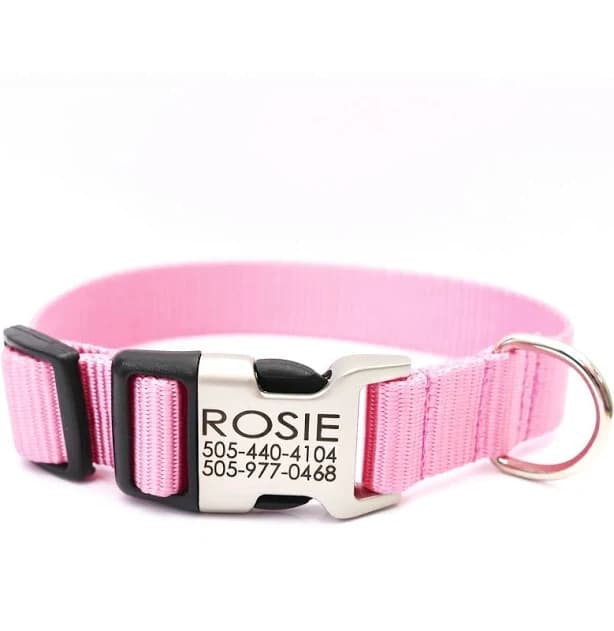 Mimi Green Personalized Nylon Dog Collar