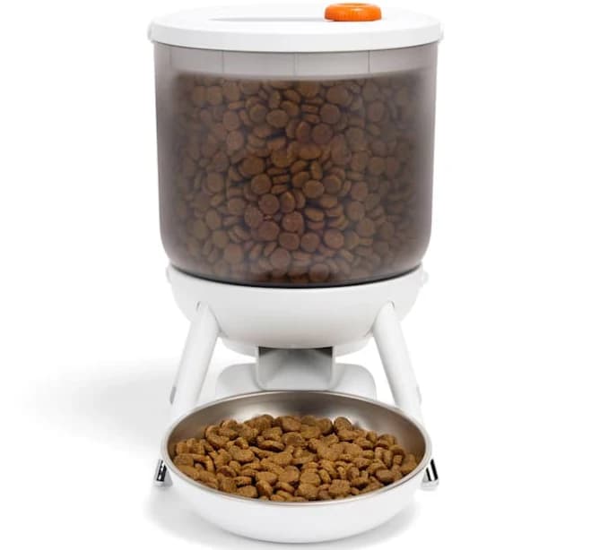 EveryYay Modern Lifted Automatic Pet Feeder