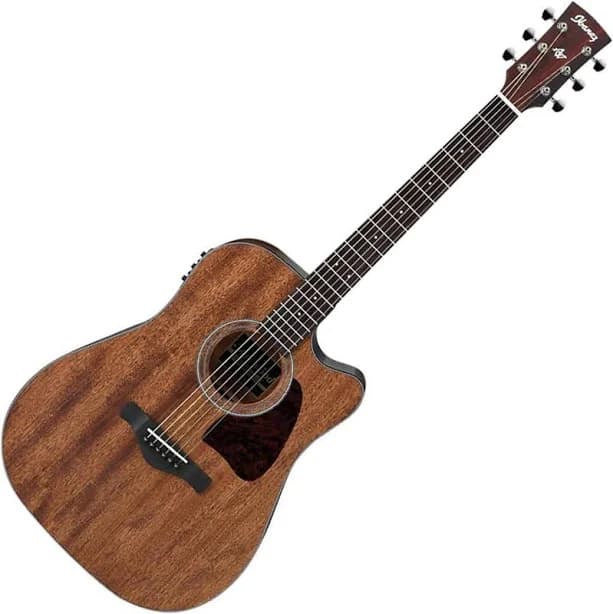 Ibanez AW54CE Artwood Acoustic Electric Guitar