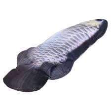 Buy USB Rechargeable Cat Electric Fish Toy at Ubuy El Salvador