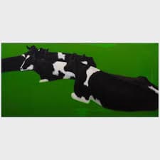 Sold at Auction: Henry Koehler, Henry Koehler (1927-2018): Cow Pattern IV