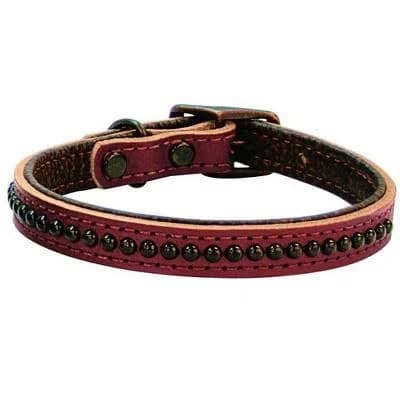 Weaver Outlaw Dog Collar
