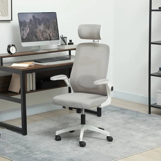 HOMCOM Ergonomic Office Chair Mesh Desk Chair with Lumbar Support