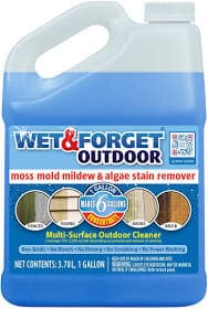 Wet and Forget 1 Gallon Concentrate Outdoor Cleaner Moss Mold Mildew and Algae Stain