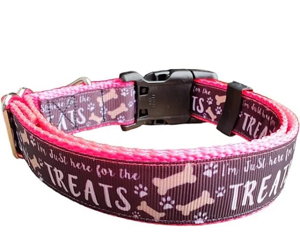 Here for The Treats Hot Pink Nylon Dog Collar