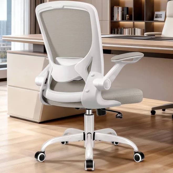KERDOM Ergonomic Office Chair