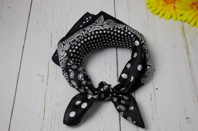 Silk Paisley Scarf Gift Bundle