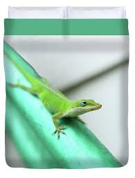 Hangin' Out On The Hose Shower Curtain by Gwen Juarez - Gwen Juarez Official Website