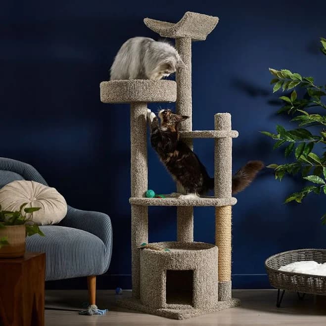 Frisco 64-in Real Carpet Solid Wood Cat Tree & Condo