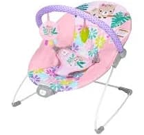 Bright Starts Vibrating Baby Bouncer Wildflower Wonders